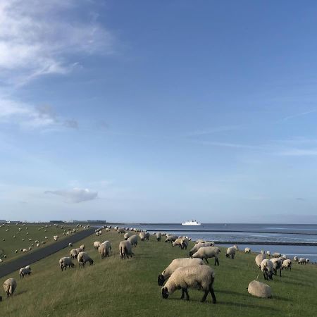 Wind Und Meer - Traumhaft An Der Nordsee Norddeich  Εξωτερικό φωτογραφία