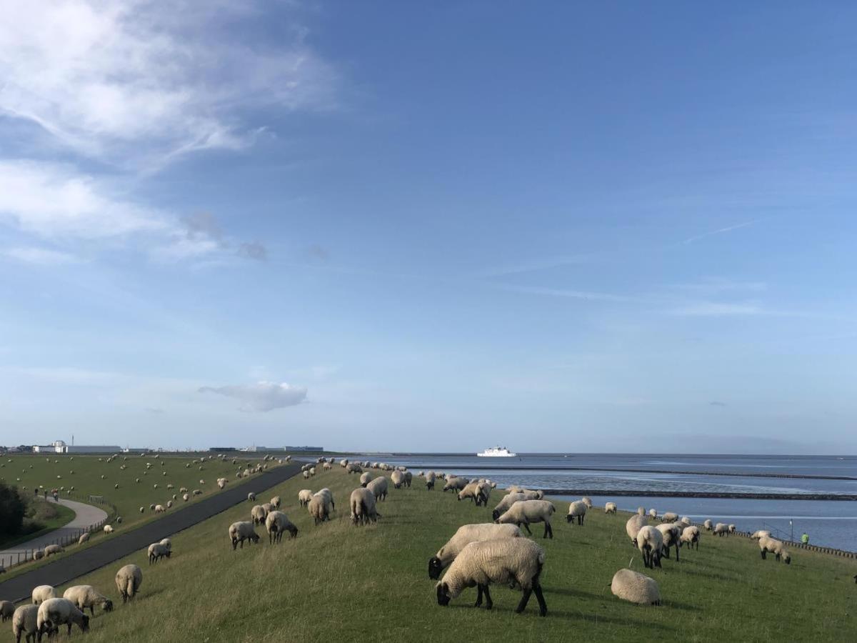 Wind Und Meer - Traumhaft An Der Nordsee Norddeich  Εξωτερικό φωτογραφία